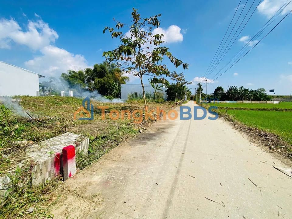 Đất nền Điện Thọ 106m² 890 triệu - Đường to ô tô