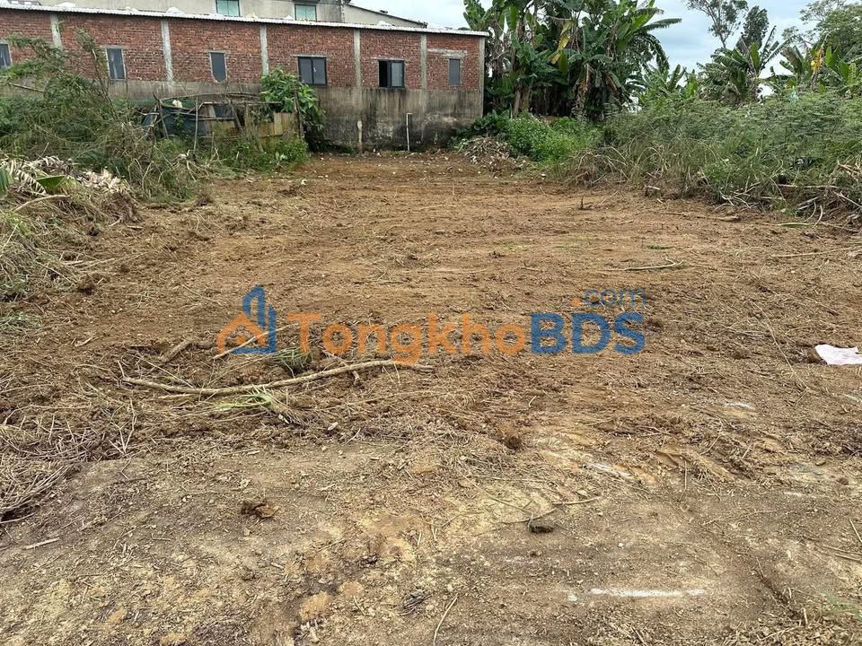 Đất nền Quế Xuân 1 125m² 320 triệu - Tiềm năng tăng giá