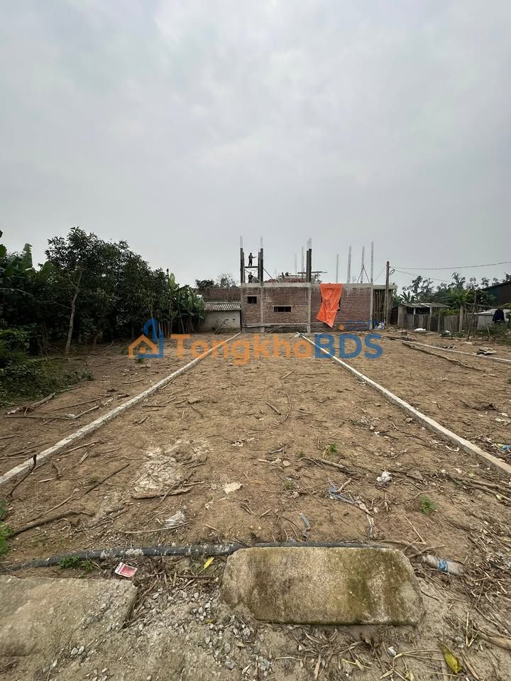 Đất Xuân Đồng Nghi Đức 110m² - Hạ tầng hoàn thiện
