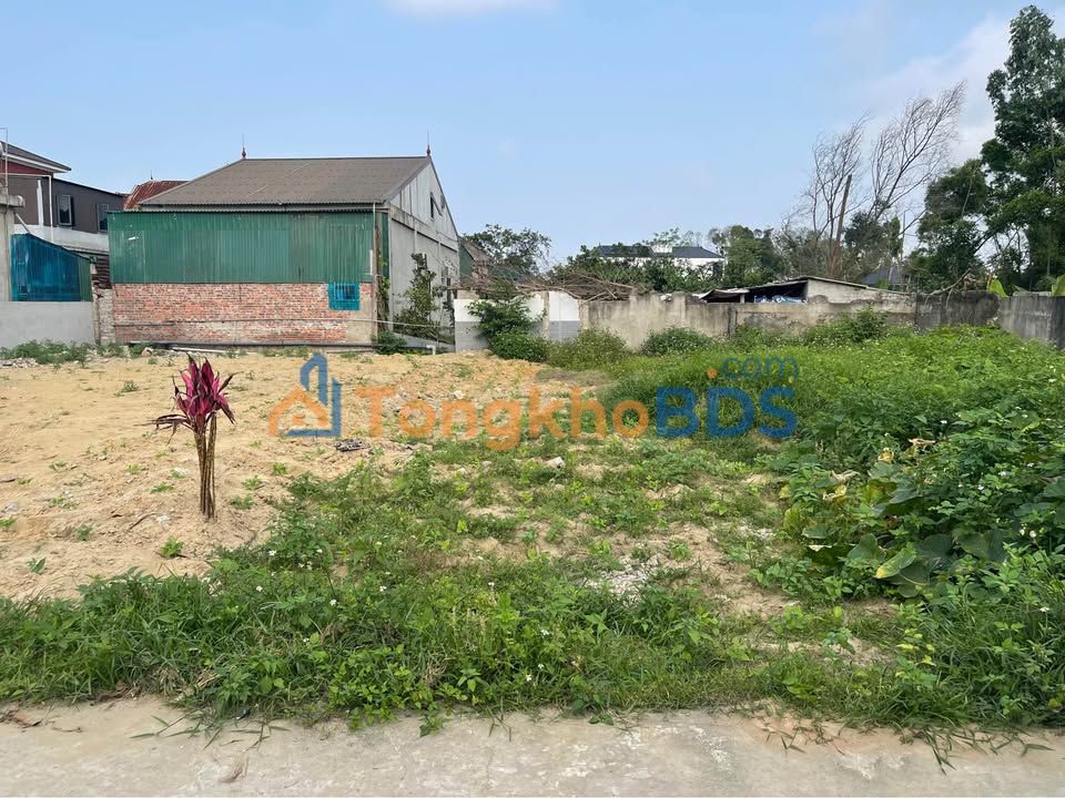 Đất nền Nguyễn Sinh Cung 186m² 2 tỷ - Sổ đỏ chính chủ