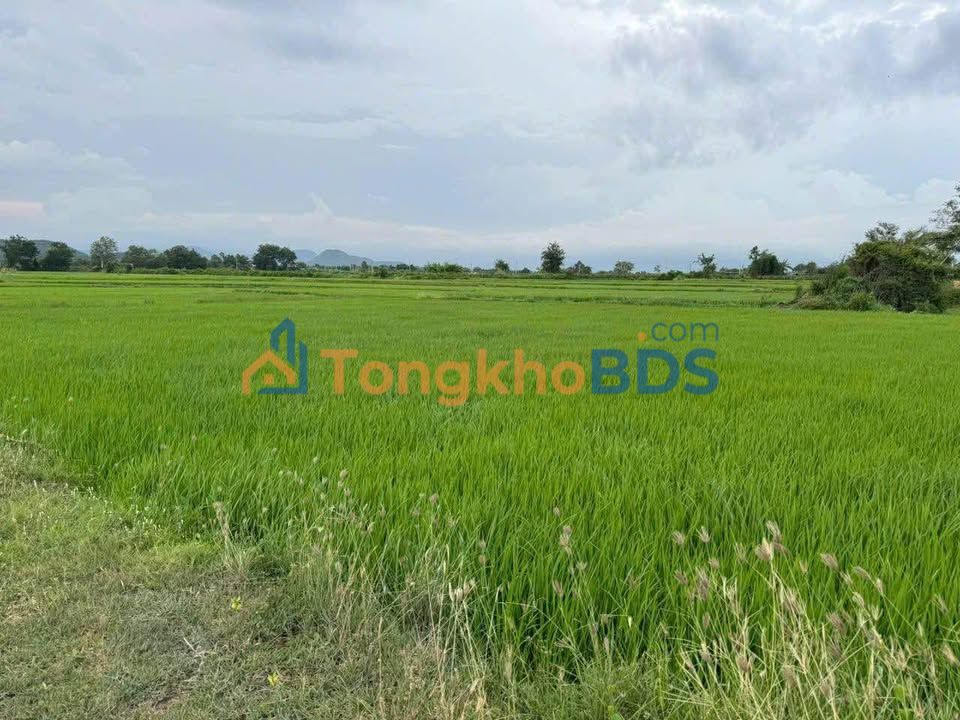 Đất nền Hàm Chính 360m² 130 triệu - Pháp lý rõ ràng