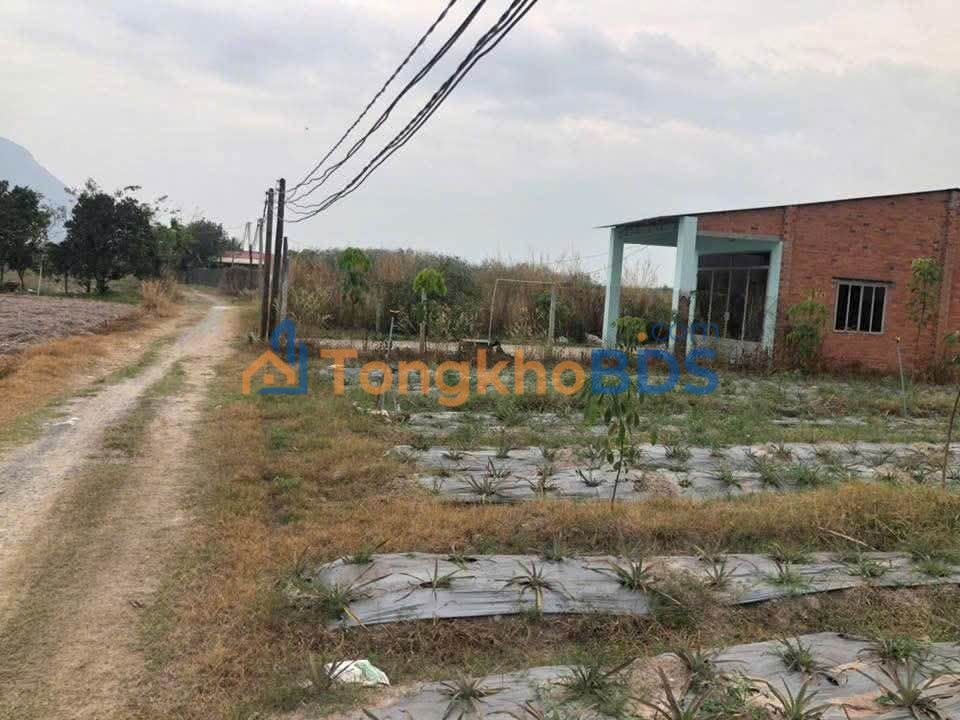 Đất nền Ninh Phúc Tây Ninh 2.380m² - Xây dựng tự do