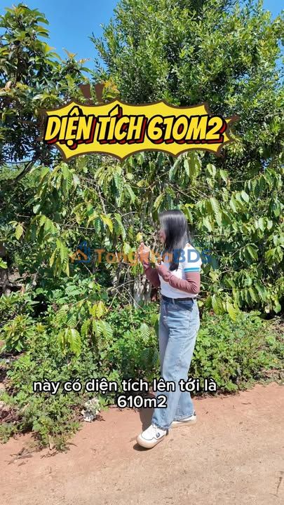 Đất nền Nam Hà Lâm Hà 610m² 1,05 tỷ - Sổ đỏ chính chủ