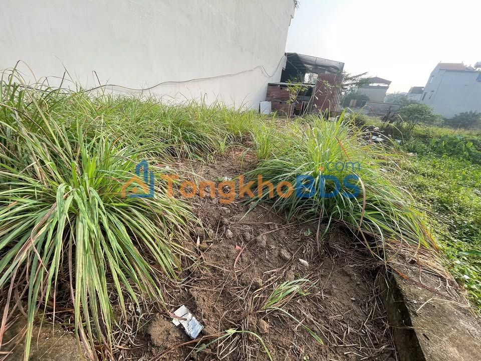 Đất nền Văn Bình Thường Tín 95m² 6.65 tỷ - Sổ đỏ chính chủ