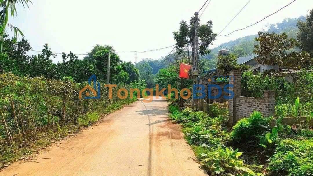 Đất thổ cư Ba Trại Ba Vì 367m² 1.3 tỷ - Sổ đỏ chính chủ