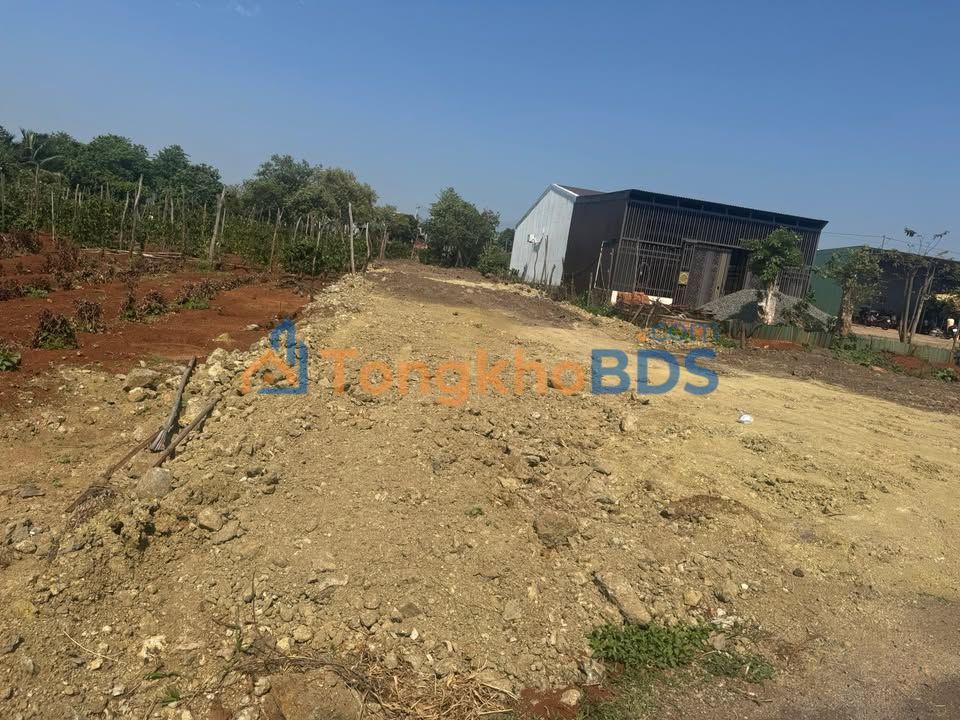 Đất nền Chư Sê 550m² 2,65 tỷ - Sổ đỏ chính chủ, bán gấp