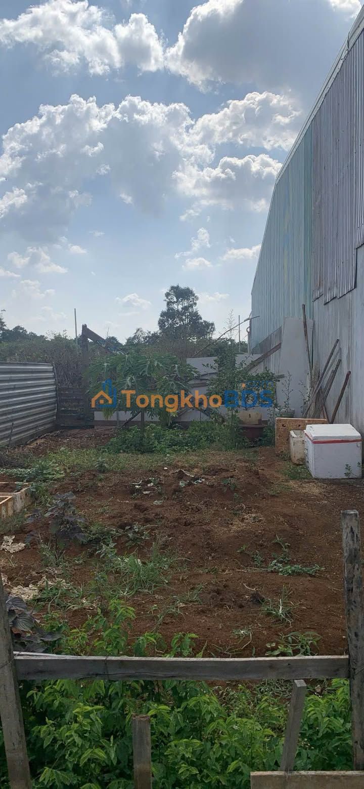 Đất nền Lạc Long Quân An Phú 175m² 1.1 tỷ - Giá tốt hiếm có