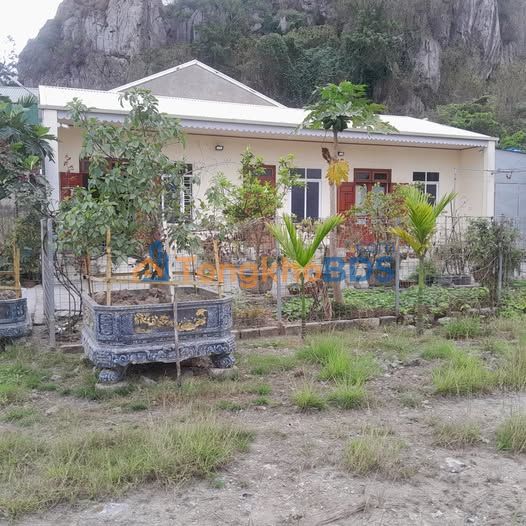 Bán Đất Tặng Nhà 550m² Mặt Tiền 15m Đường 388, Thủy Nguyên - Cơ Hội Đầu Tư Vàng