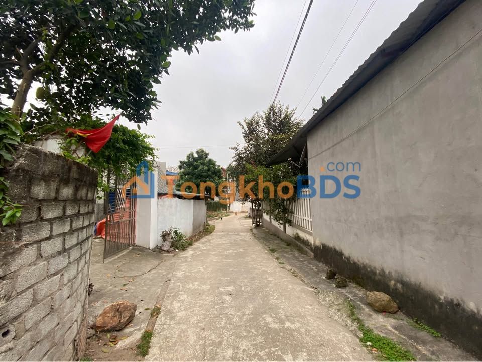 Đất nền Tam Dương 104m² 8xx triệu - Sổ đỏ chính chủ