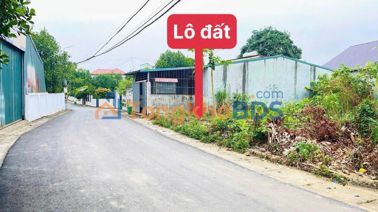 Đất nền Thanh Vân Tam Dương 101m² 1.5 tỷ - Sổ đỏ chính chủ