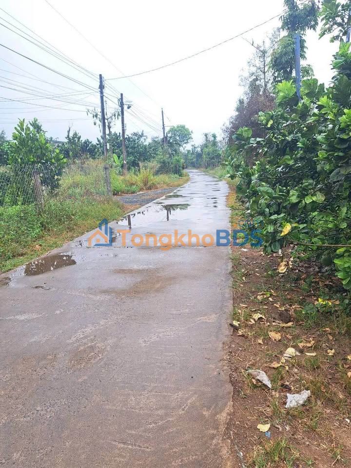 Đất Tà Lài Tân Phú 1.8k m² 2.8 tỷ – Đường ô tô