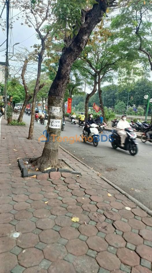 Nhà phố Cầu Giấy 73m² giá 14 tỷ - Mặt tiền kinh doanh