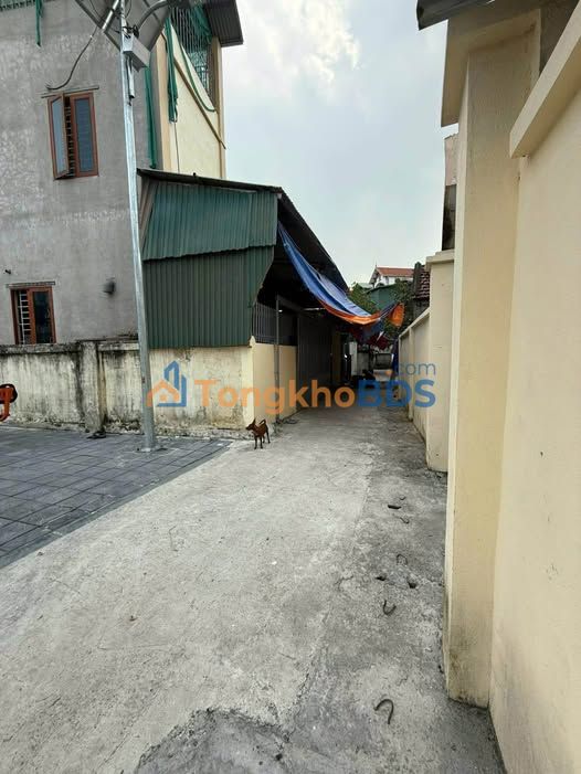 Đất nền Thị trấn Phùng 67m² giá 4 tỷ - Giá tốt hiếm có