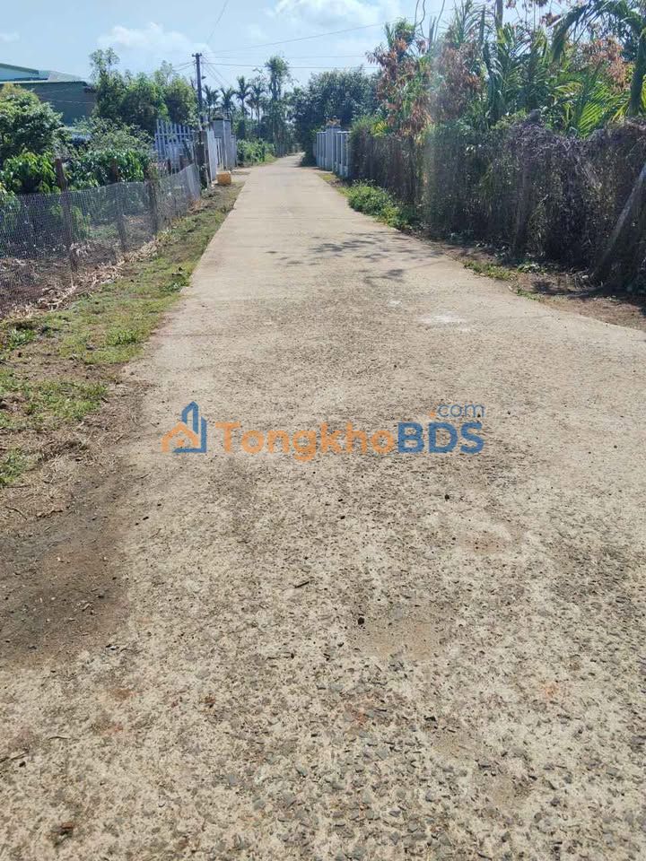 Đất nền Ea Phê 6x30 500-599 triệu - Đầu tư dài hạn