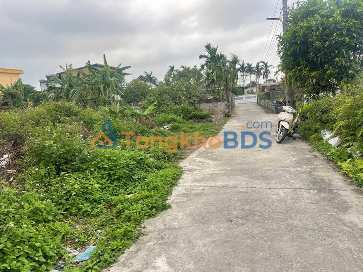 Đất nền Thái Thịnh Thái Thụy 100m² giá 6xx triệu - Sổ đỏ chính chủ