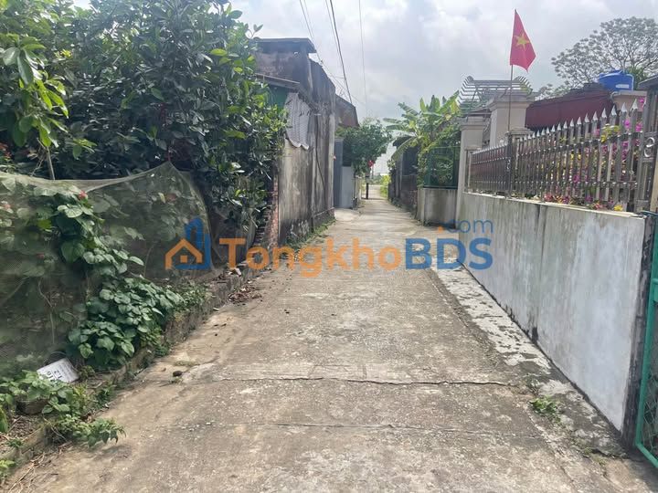 Đất Thái Dương Thái Thụy 156m² vài trăm triệu - Sổ đỏ chính chủ