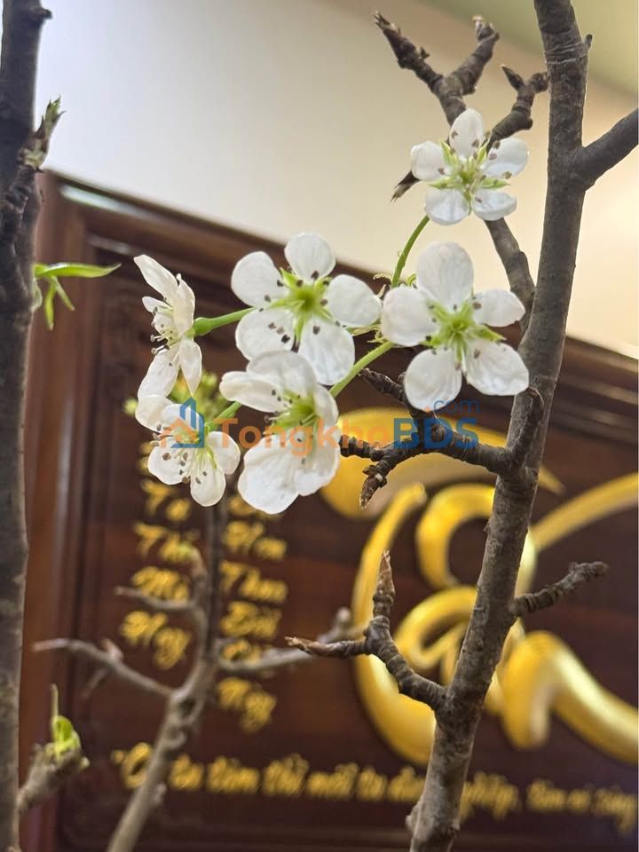 Nhà Ngô Gia Tự Quận Ngô Quyền 44m² 3,85 tỷ - Ô tô vào tận nhà