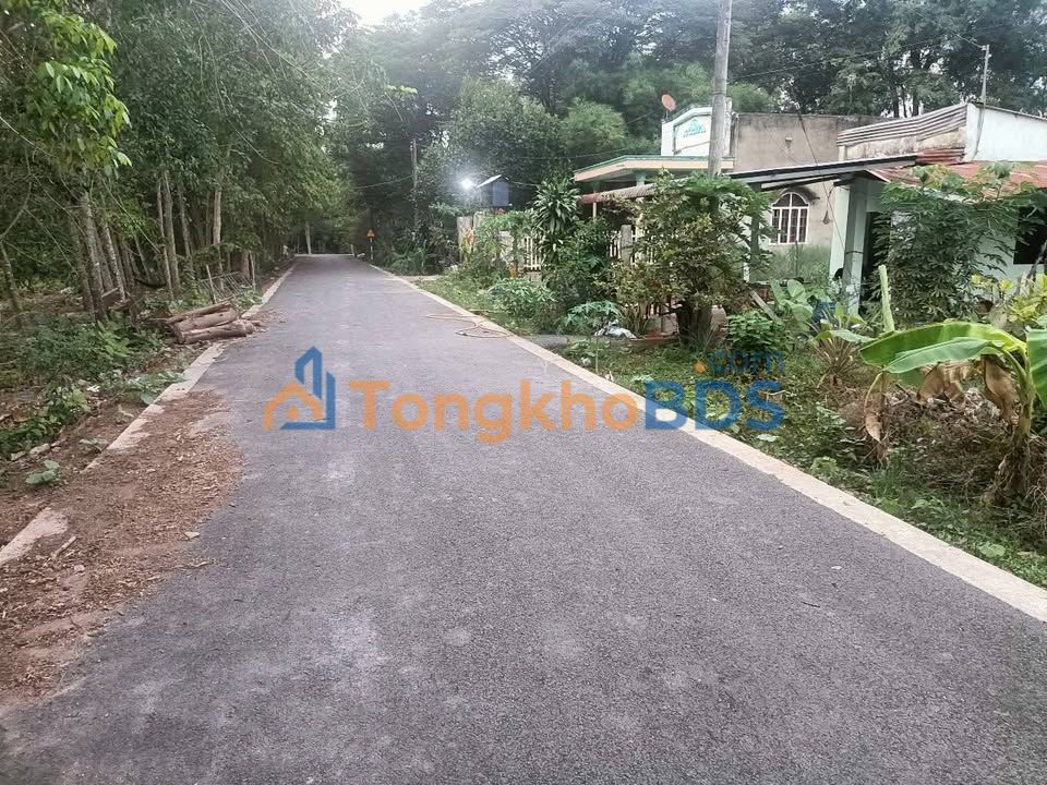 Đất nền Minh Tân Dầu Tiếng 2.560m² 1 tỷ - Tiềm năng tăng giá