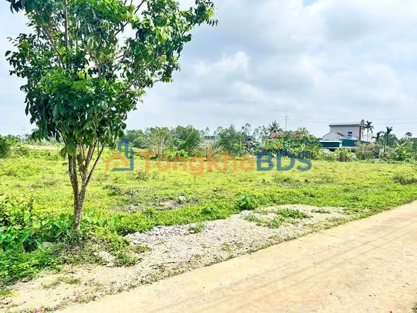 Đất nền Hậu Lộc Thanh Hóa 200m2 dưới 1.2 tỷ - Sổ đỏ chính chủ