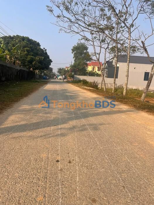 Đất nền 196m² Hậu Lộc, Thanh Hóa - Hướng Nam, Sẵn Sổ Đỏ