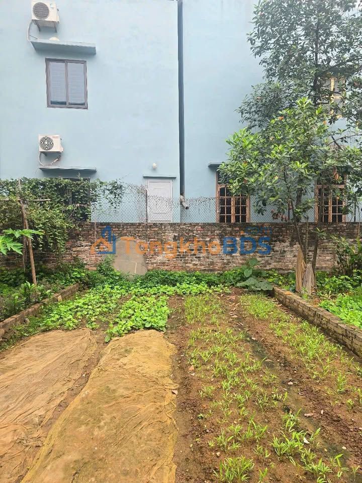 Đất nền Hữu Hòa Thanh Trì 45m² 3 tỷ - Sổ đỏ chính chủ