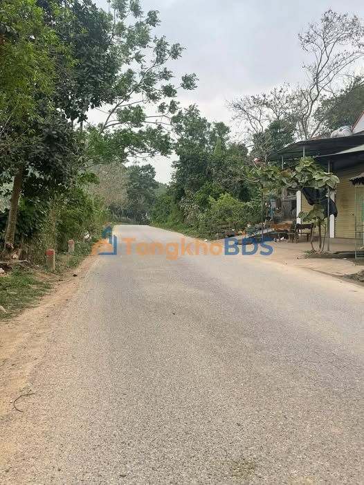 Đất nền Bắc Bình Lập Thạch 130m² - Tiềm năng tăng giá