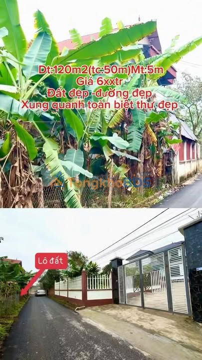 Đất nền Tam Dương 120m² giá 6xx triệu - Sổ đỏ