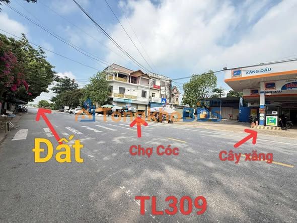Đất TL309 Tam Dương 120m² 3 tỷ - Sổ đỏ chính chủ