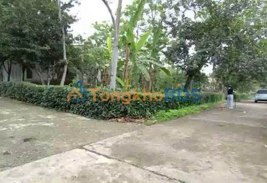 Đất nền Ba Hằng Đồi 1.900m² thổ cư 400m² - Sổ đỏ chính chủ