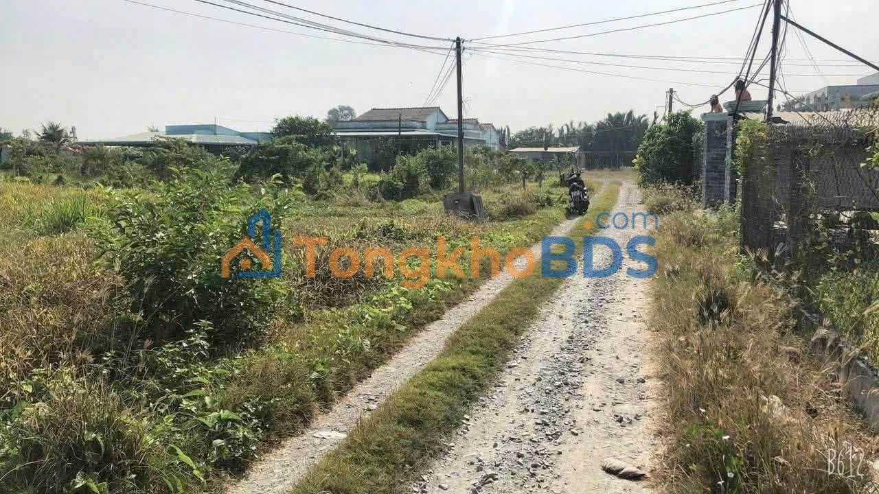 Đất Hòa Phú Long An 1.712m² 3.6 tỷ Pháp lý rõ ràng