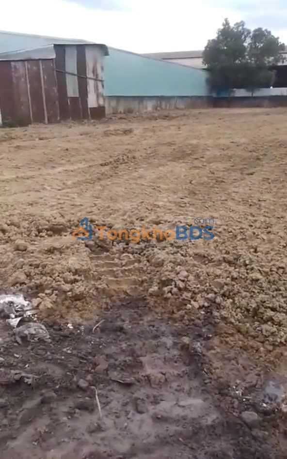 Đất nền Phước Tân Chu Mạnh Trinh 1.8k m² 12.5 tỷ - Sổ đỏ chính chủ