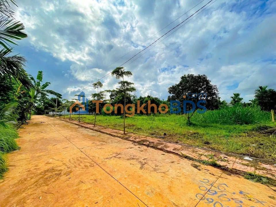 Đất nền Buôn Ma Thuột Thôn 1 135m² 699 triệu - Sổ đỏ chính chủ