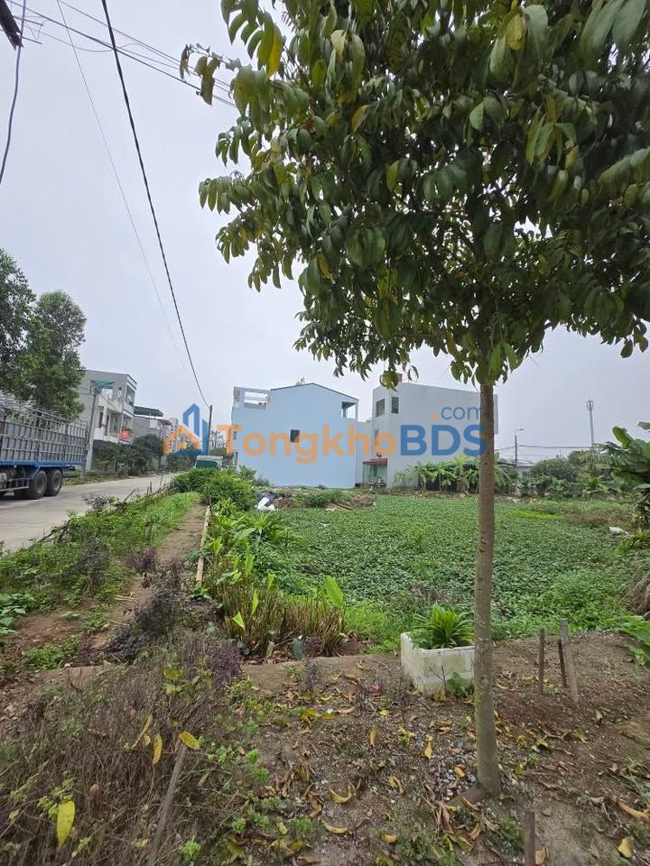 Đất nền Bích Đào Ninh Bình 80m² 5 tỷ - Xây dựng tự do