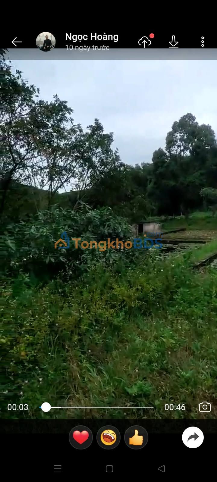 Đất trang trại Đông Lâm 57ha - Đầu tư dài hạn