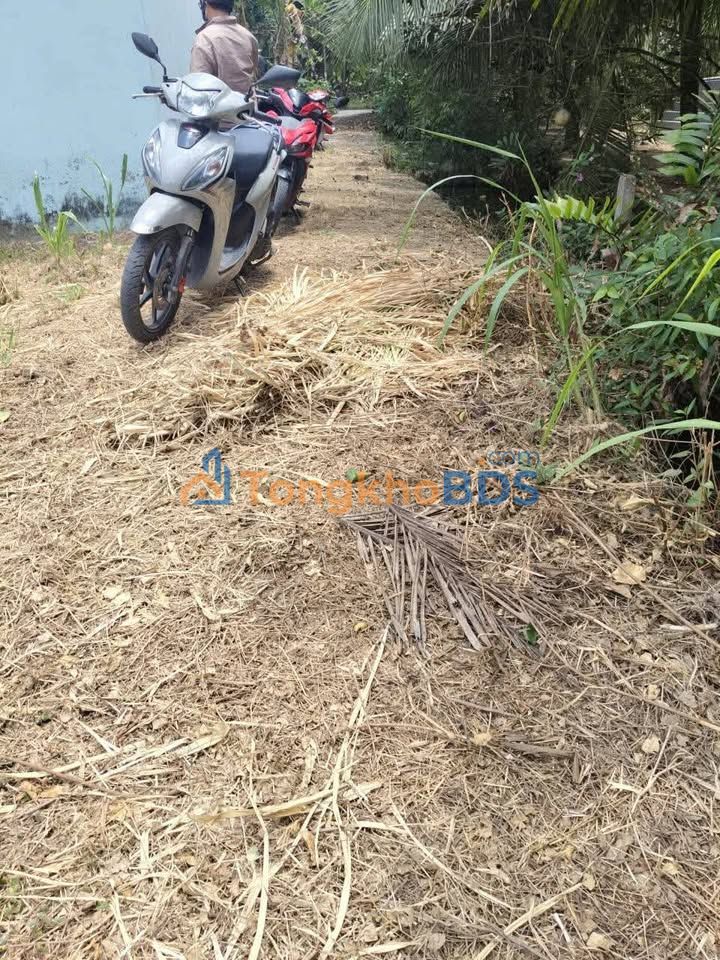 Đất nền Phú An Hòa 149m² 390 triệu - Tiềm năng tăng giá