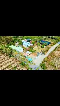 Nhà vườn Ngọc Định, Định Quán 2000m² 3.8 tỷ - Nghỉ dưỡng lý tưởng