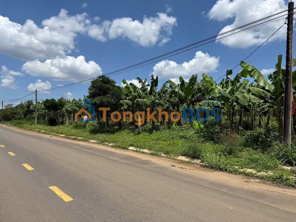 Đất nền Thôn 1 Tân Lạc 176m² 650 triệu - Đất thổ cư 100%