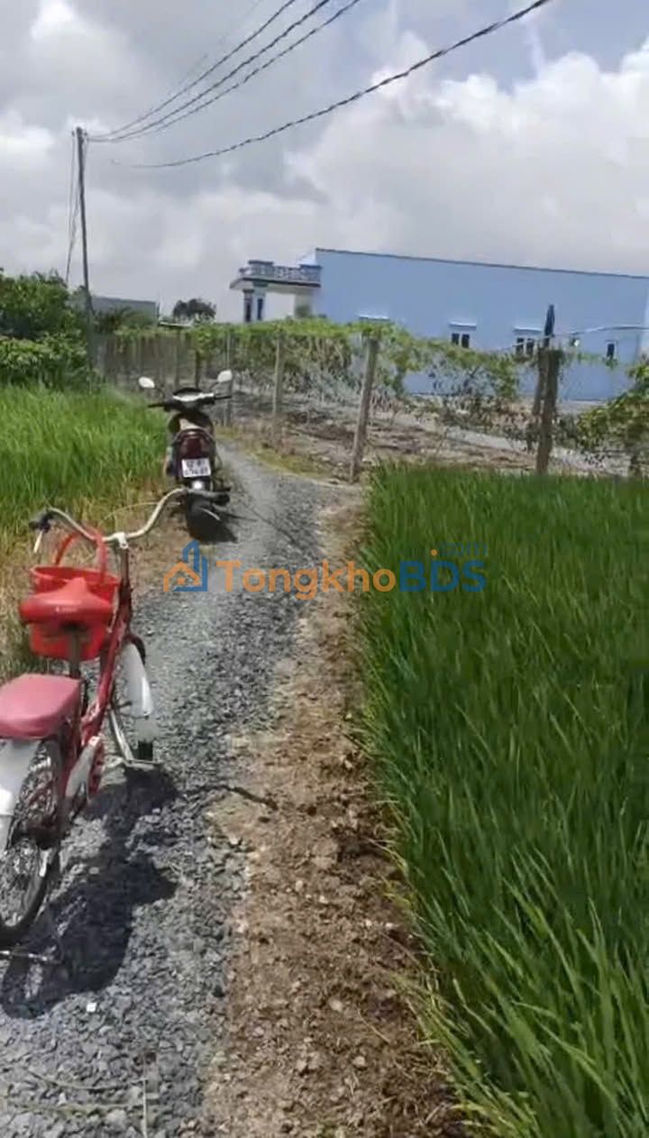 Đất vườn Mỹ Lộc Long An 1000m² 1.35 tỷ - Sinh thái xanh