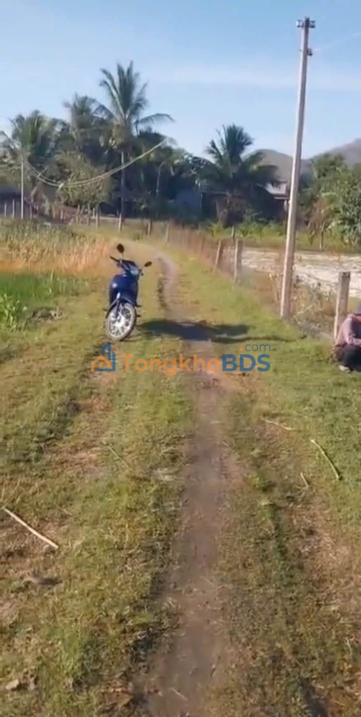 Đất nền Hàm Thuận Bắc 3.600m² 130 triệu - Pháp lý rõ ràng