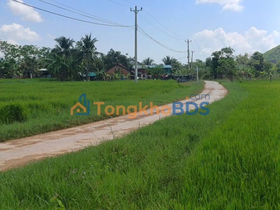 Đất vườn Ninh An 7.3k m² 2.556 tỷ - Chính chủ bán gấp