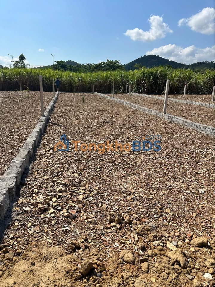 Đất thổ cư Diên Đồng 150m² 570 triệu - Sổ đỏ chính chủ