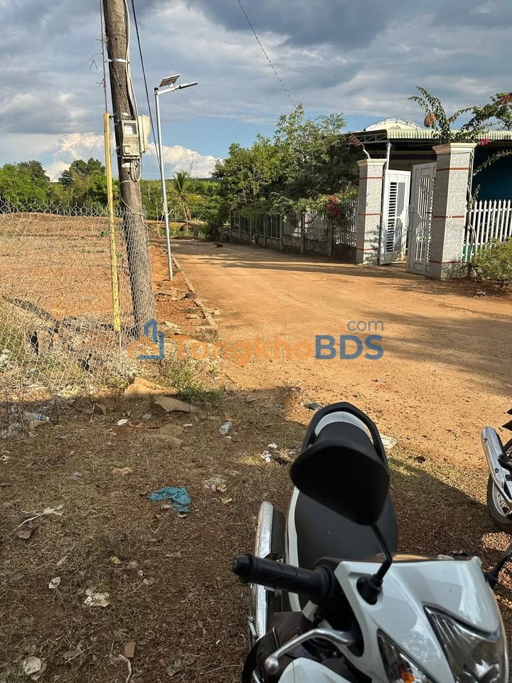 Farm Phú Trung Phú Riềng 1.980m² 1,05 tỷ - Sổ đỏ chính chủ