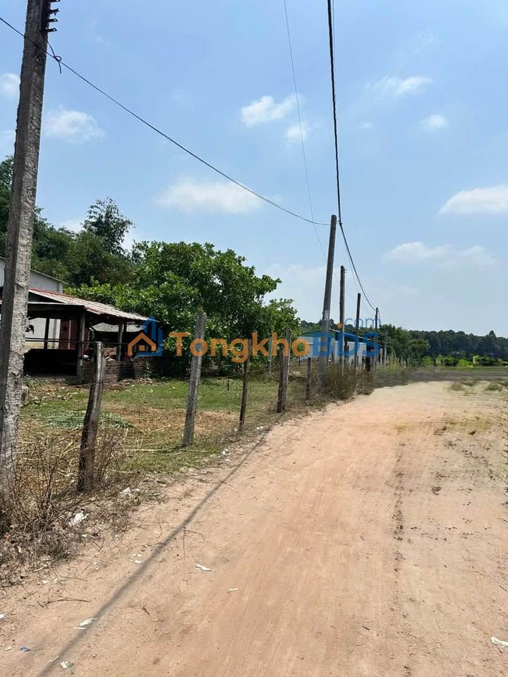 Đất nền xã Tân Hội Tân Châu 150m² tiềm năng tăng giá