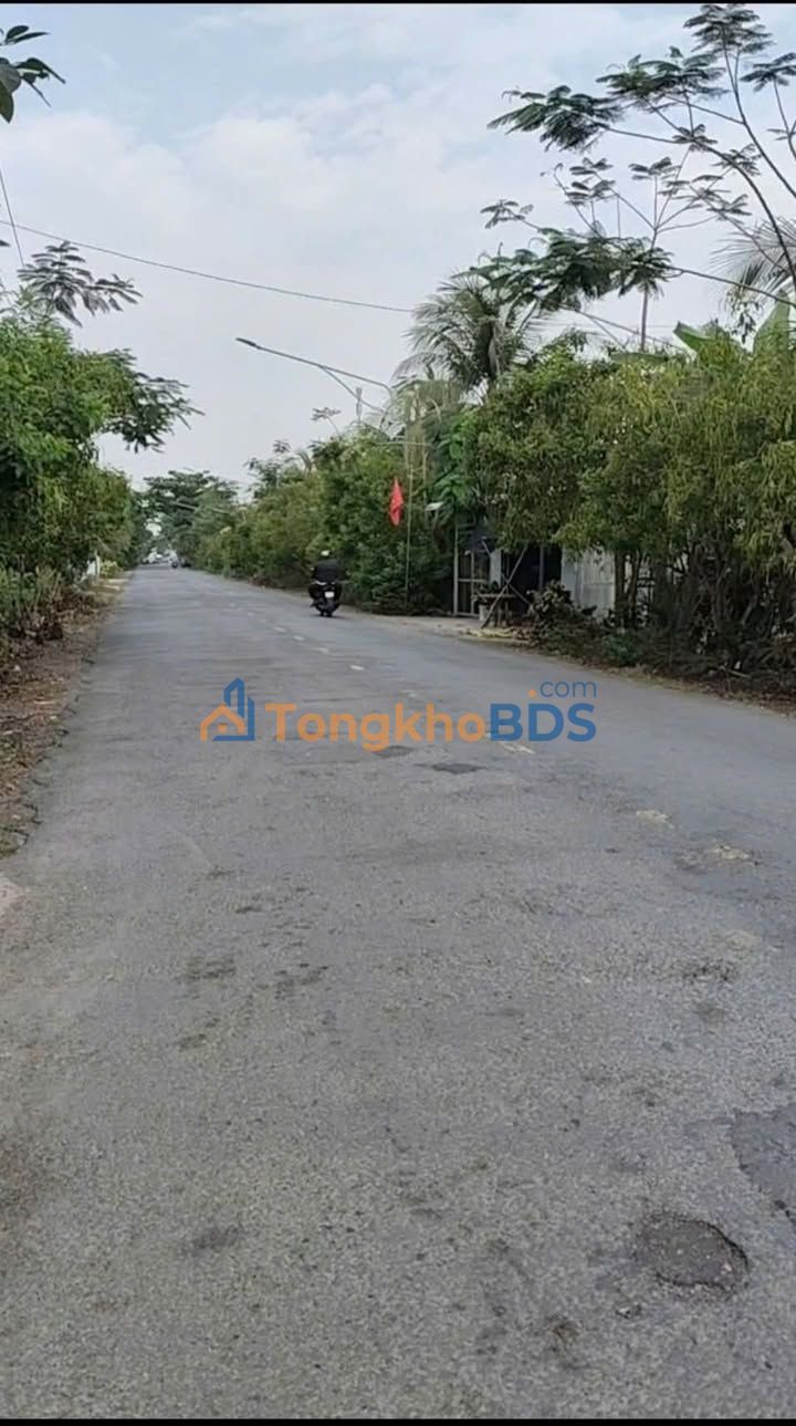 Đất nền Tam Bình Cai Lậy 300m² 10 tỷ - Sổ đỏ chính chủ