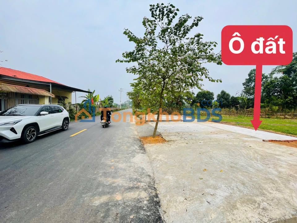 Đất nền Bàn Giản Lập Thạch 100m² giá đẹp - Đất thổ cư 100%