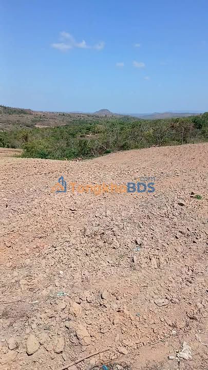 Đất vườn Ea Kiết Đắk Lắk 6ha 7.8 tỷ - Sinh thái xanh