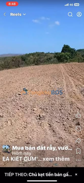 Đất farm Ea Kiết 6ha đất đỏ cát 7.8 tỷ - Sổ đỏ chính chủ