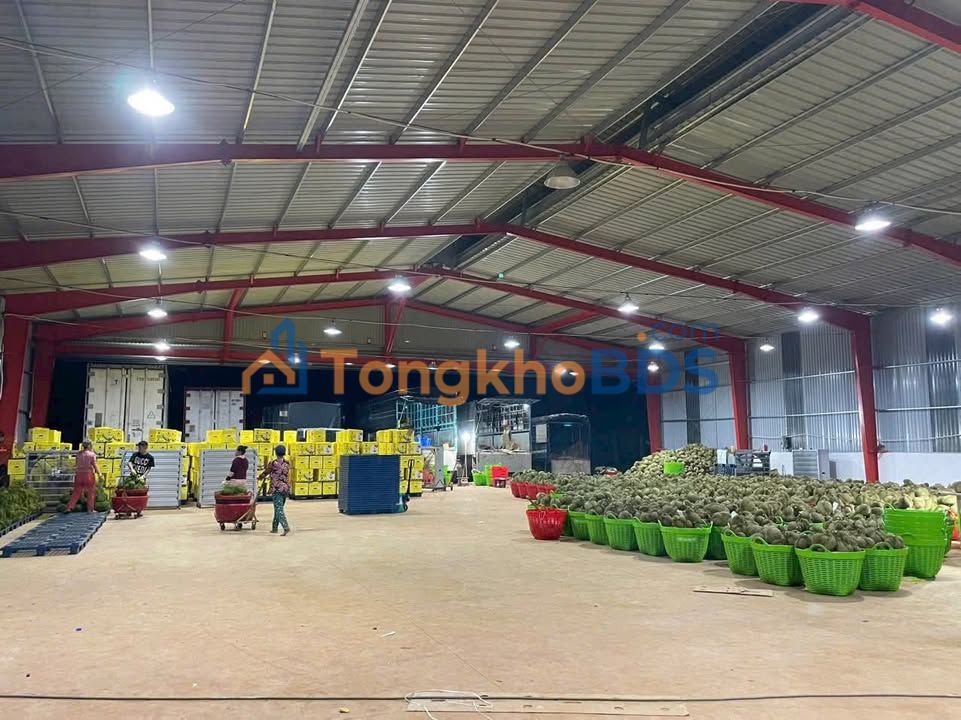 Đất + Kho QL29 Ea Kiết 5.700m² 10 tỷ - Sổ đỏ chính chủ