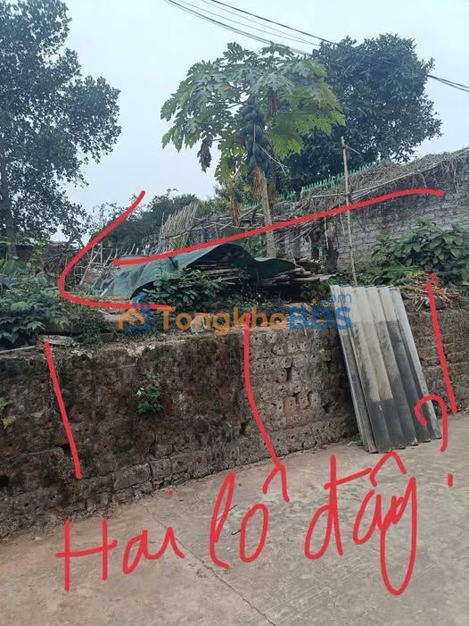 Đất Quang Thịnh Lạng Giang 150m² 7xx triệu - Đầu tư dài hạn