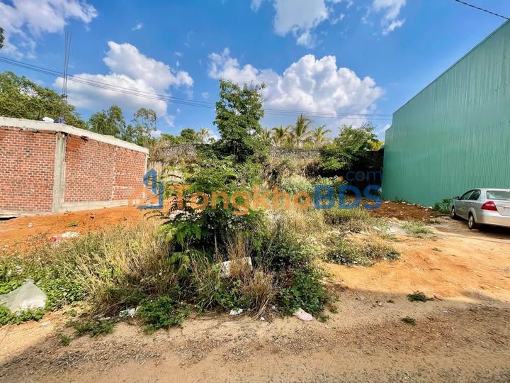 Đất nền Tôn Thất Tùng Quy Nhơn 85m² 1.3 tỷ - Sổ đỏ chính chủ